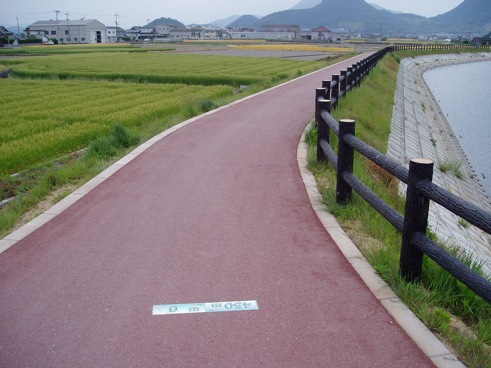 擬木柵　池　多度津町